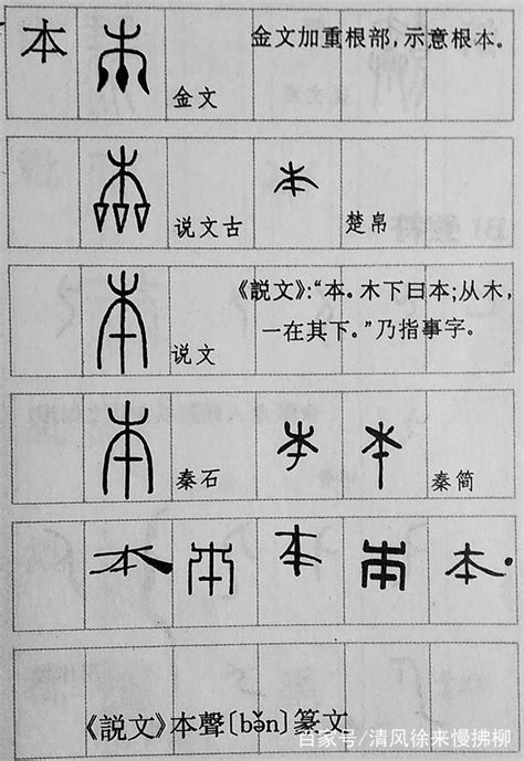 是非的意思 指事字查詢